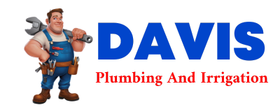 Trusted plumber in DEBARY